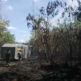Dalam Sekejab, Dua Hektar Kebun Karet Warga di Telukkuantan Terbakar