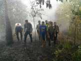 Seminggu Terakhir, Kasus Kebakaran Lahan di Kuansing Meningkat Drastis