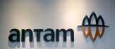 Antam Minta Tax Holiday untuk Proyek Smelter Mempawah