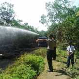 Polisi, TNI dan Damkar Berjibaku Padamkan Kebakaran Kebun Karet di Telukkuantan