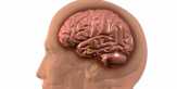4 Gejala Penyakit Alzheimer yang Tak Disadari