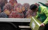 Biodiesel B30 Disebut Buat Jejak Karbon Lebih Tinggi
