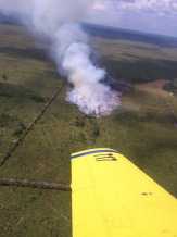 Lahan Riau Kembali Terbakar, Ini Penampakannya dari Udara