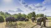 6 Tips Aman Bertualang di Taman Nasional