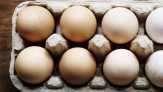 Telur Ayam di Inggris Dapat Membunuh Sel Kanker