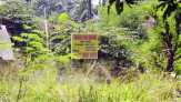 BPK Audit Investigasi Pembelian Lahan Cengkareng
