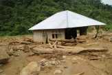 Banjir Bandang di Sumbar Diduga Dipicu Pembalakan Liar