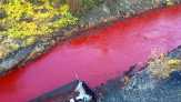 Terkuak, Misteri Air Sungai di Rusia yang Berubah Jadi Merah Darah