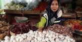 62 Ribu Ton Bawang Putih China dan India Bakal Guyur RI