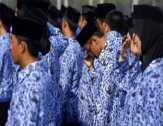 SOTK Pemkab Pelalawan Baru Diterapkan Januari 2017