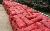 Polres Siak Musnahkan 9 Ton Bawang Merah Ilegal dan Sabu-sabu Seharga Rp3 M