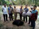 Gapoktan Jaya Mandiri Rohil Terima Bantuan Benih Ikan dan Pakan