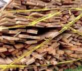 Sopir Pengangkut Kayu Ilegal Dituntut 2,5 Tahun Penjara