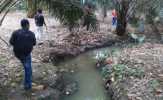 PKS PT. ISB Surau Tinggi, Rohul Diduga Buang Limbah ke Kebun Warga