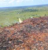 14 Titik Panas Muncul di Riau Sore Ini, Satgas Tabur 800 Ton Bahan Semai Picu Hujan Buatan
