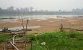 Air Sungai Kampar Surut, Petani Keramba di Pelalawan Terancam Merugi Akibat Kemarau