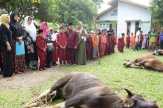 Biasakan Ibadah Sejak Dini, Sejumlah SD di Bengkalis Potong Hewan Kurban