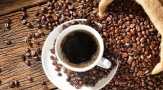 Jadi Komoditas Unggulan, Kopi Arabika Solok Kian Banyak Peminat