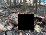 Seorang Nenek di Reteh Tewas Terbakar