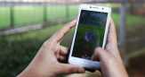 Akun Twitter Bos Pembuat Pokemon Go Dibobol