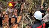 Geram, Kapolda Riau Usut Pelaku Illegal Logging Penyebab Karhutla