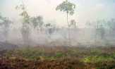 Pekanbaru Dikepung Api, Udara Berkabut