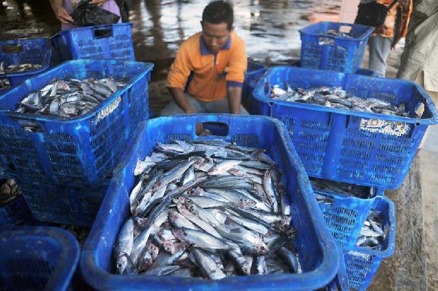 Akibat Gelombang Tinggi, Harga Ikan pun Melonjak